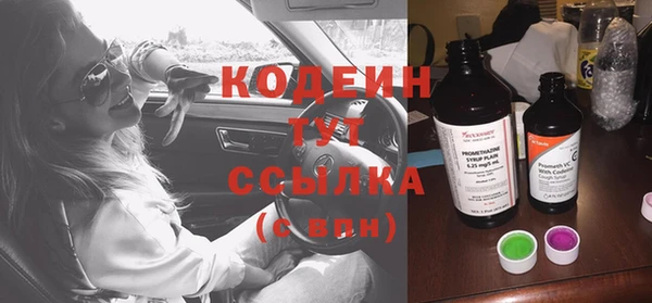 прущие грибы Балабаново