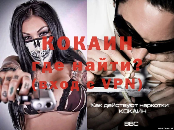 тгк Пересвет