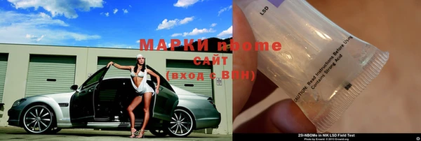 прущие грибы Балабаново