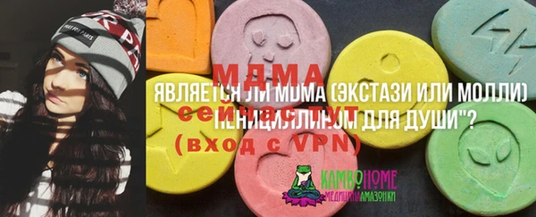 прущие грибы Балабаново