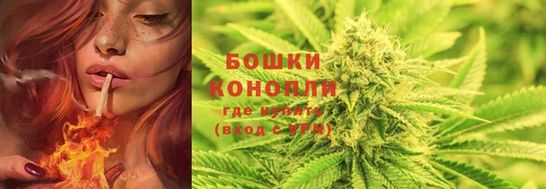 прущие грибы Балабаново