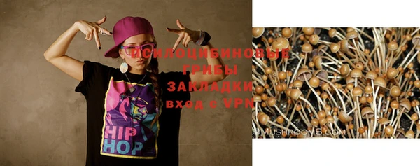 прущие грибы Балабаново