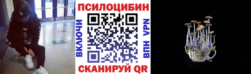 Псилоцибиновые грибы GOLDEN TEACHER  Электрогорск 